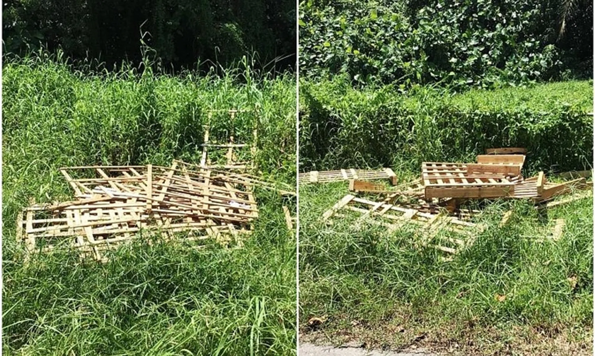 Dismantled wooden crates and pallets disposed illegally along Lim Chu Kang Lane.