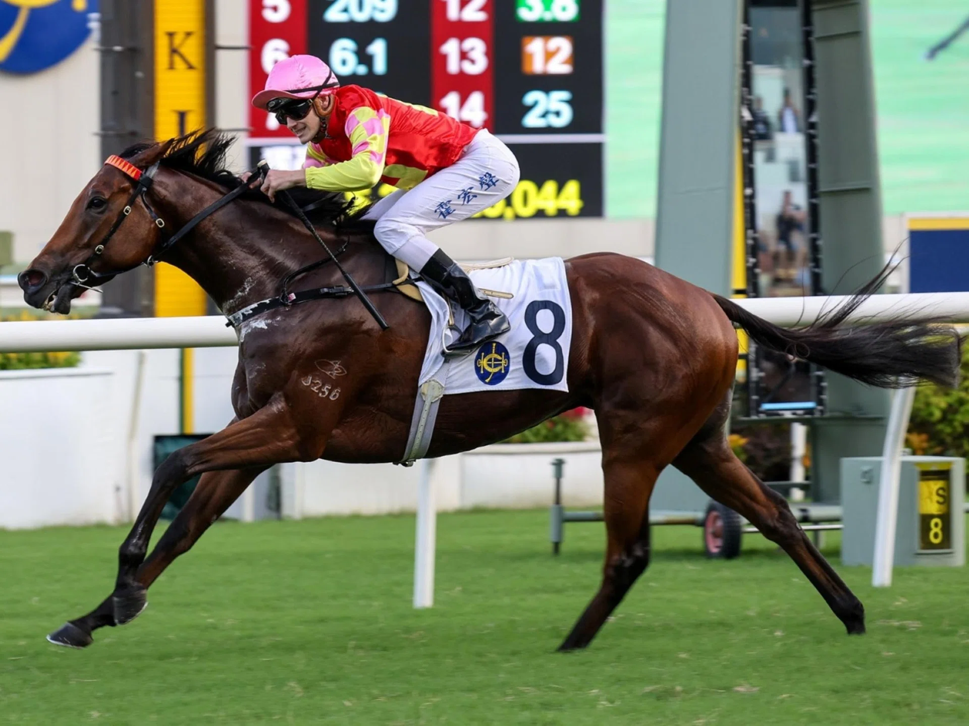 My Wish (Luke Ferraris) landing the spoils in the Group 3 The Celebration Cup (1,400m) at Sha Tin on Sept 28. He will be ridden by Alexis Badel for the first time in the Group 2 The Sha Tin Trophy (1,600m) at Sha Tin on Oct 19. 