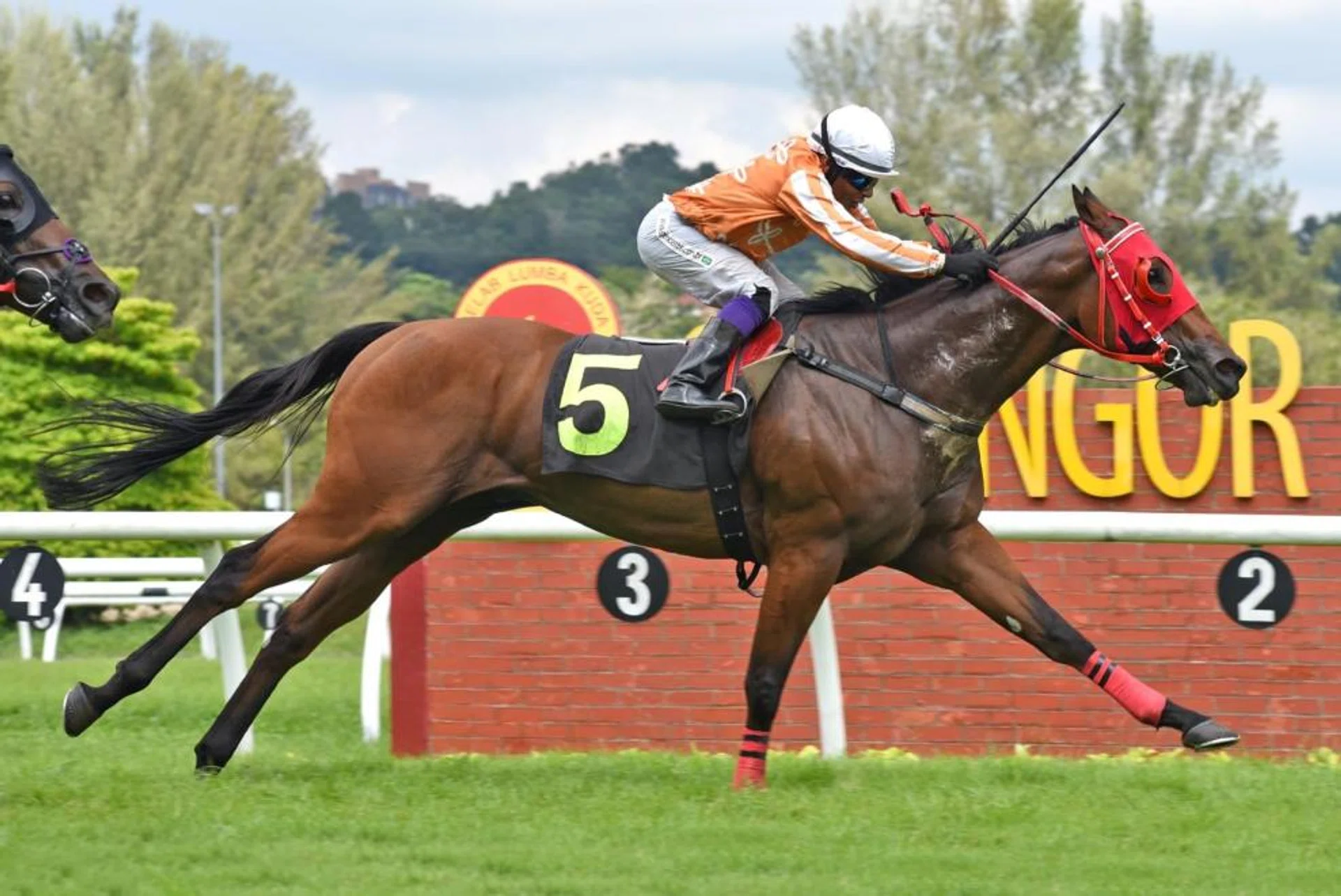 Pacific Flash, with jockey Laercio de Souza astride, winning the Class 3 race over 1,200m at Sungai Besi on Nov 10.