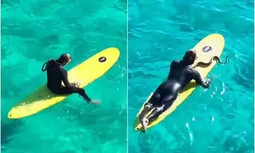 Snake no mistake: Australian fined for surfing with python