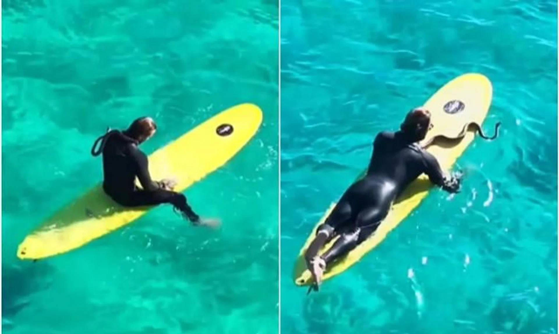 The surfer caused a stir after footage emerged of him carving through the azure waves while carrying his pet carpet python. 