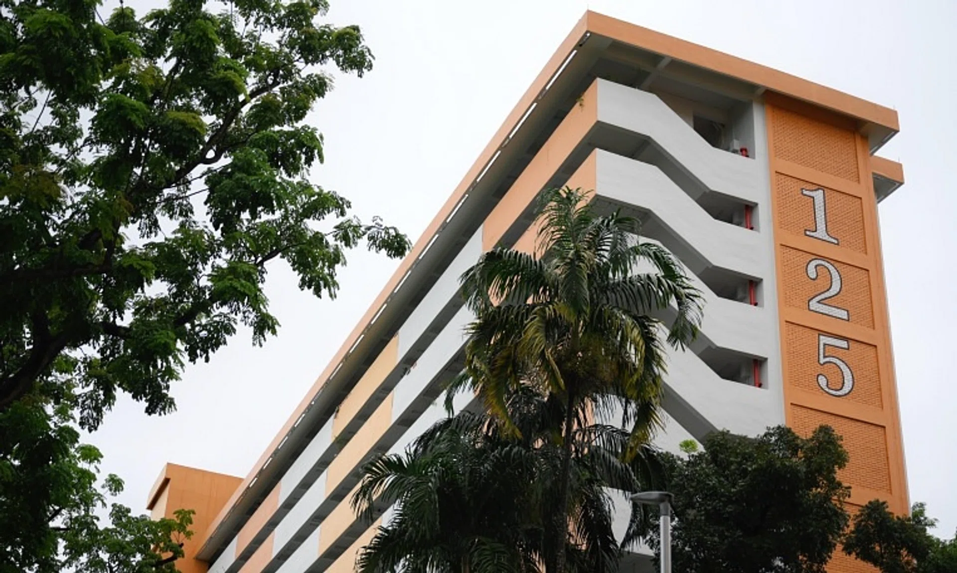 When officers arrived at the scene, Ms Lim Suan Lian was found lying motionless in her unit at Block 125 Ang Mo Kio Avenue 6.