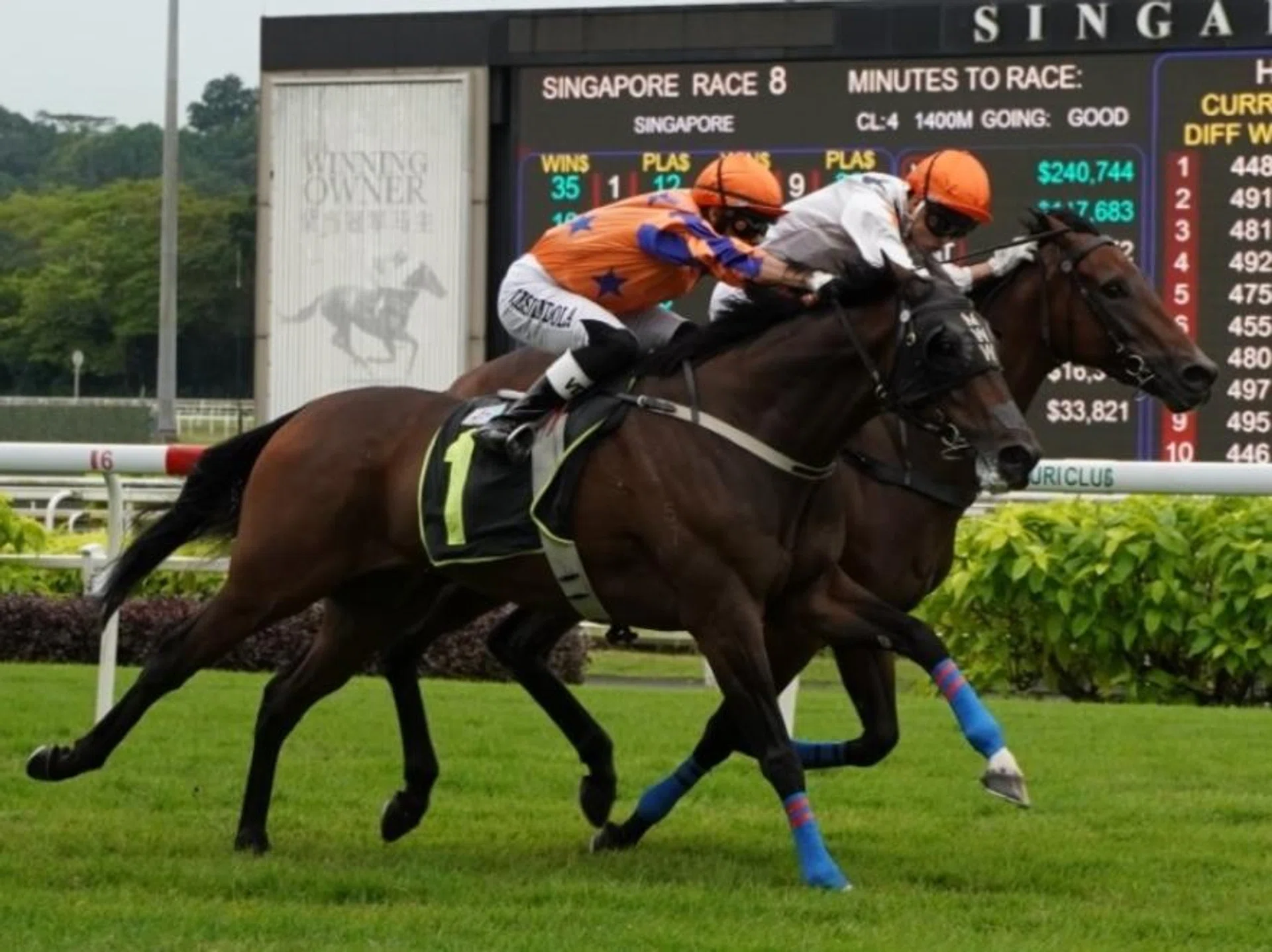 Te Akau Ben (Vitor Espindola, No. 1) and Hasten toughing it out in the Class 4 race (1,400m) at Kranji on June 22, with the former getting the nod by a nose.

