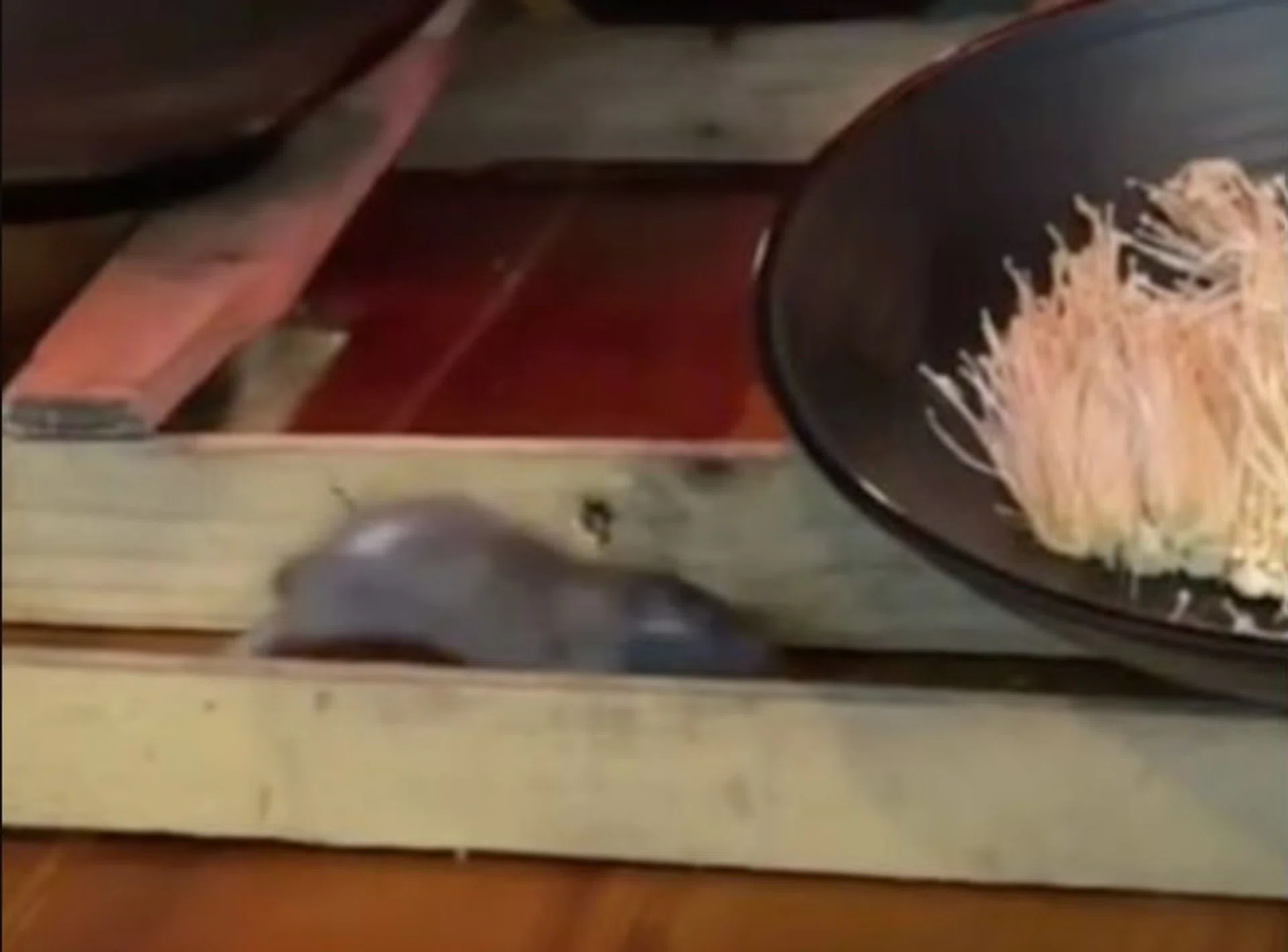 The rat was spotted on a buffet countertop.