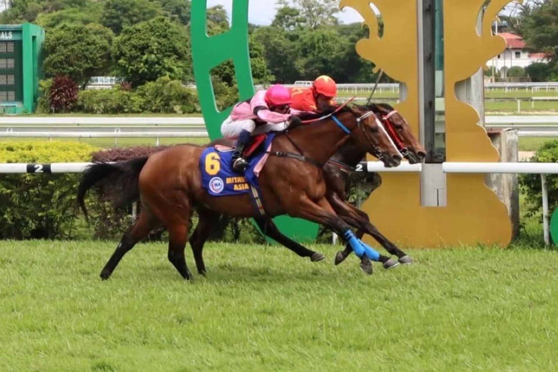 Sweet Love (Hafis Saari) just pipping Wilamara (Jackie Chuah, on the inside) by a nose to eventually win the Mitavite Asia Cup 2025 (1,100m) on June 8.