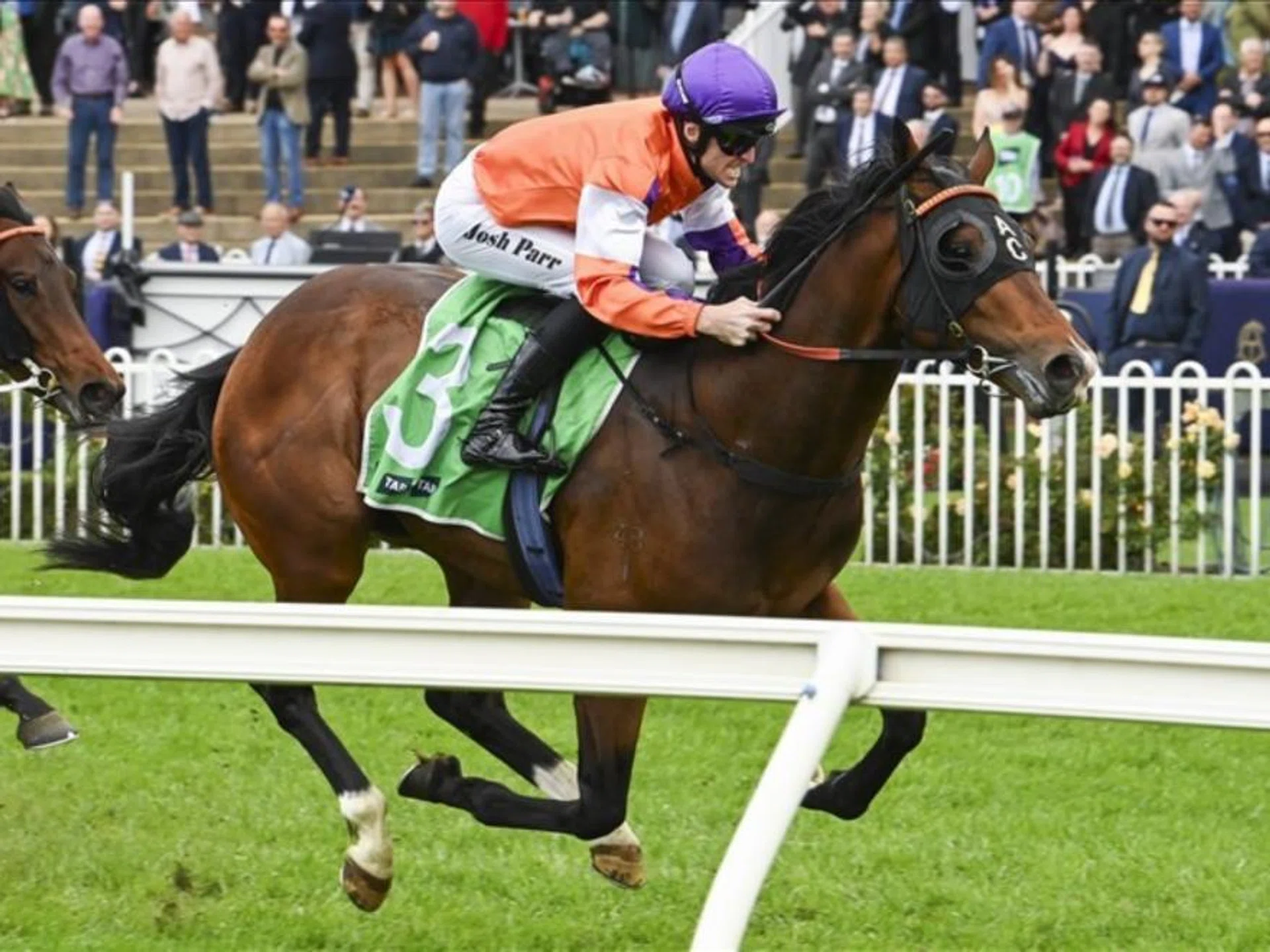Josh Parr steering El Castello to a convincing victory in the Group 1 Moet & Chandon Spring Champion Stakes (2,000m) at Randwick on Oct 26.
