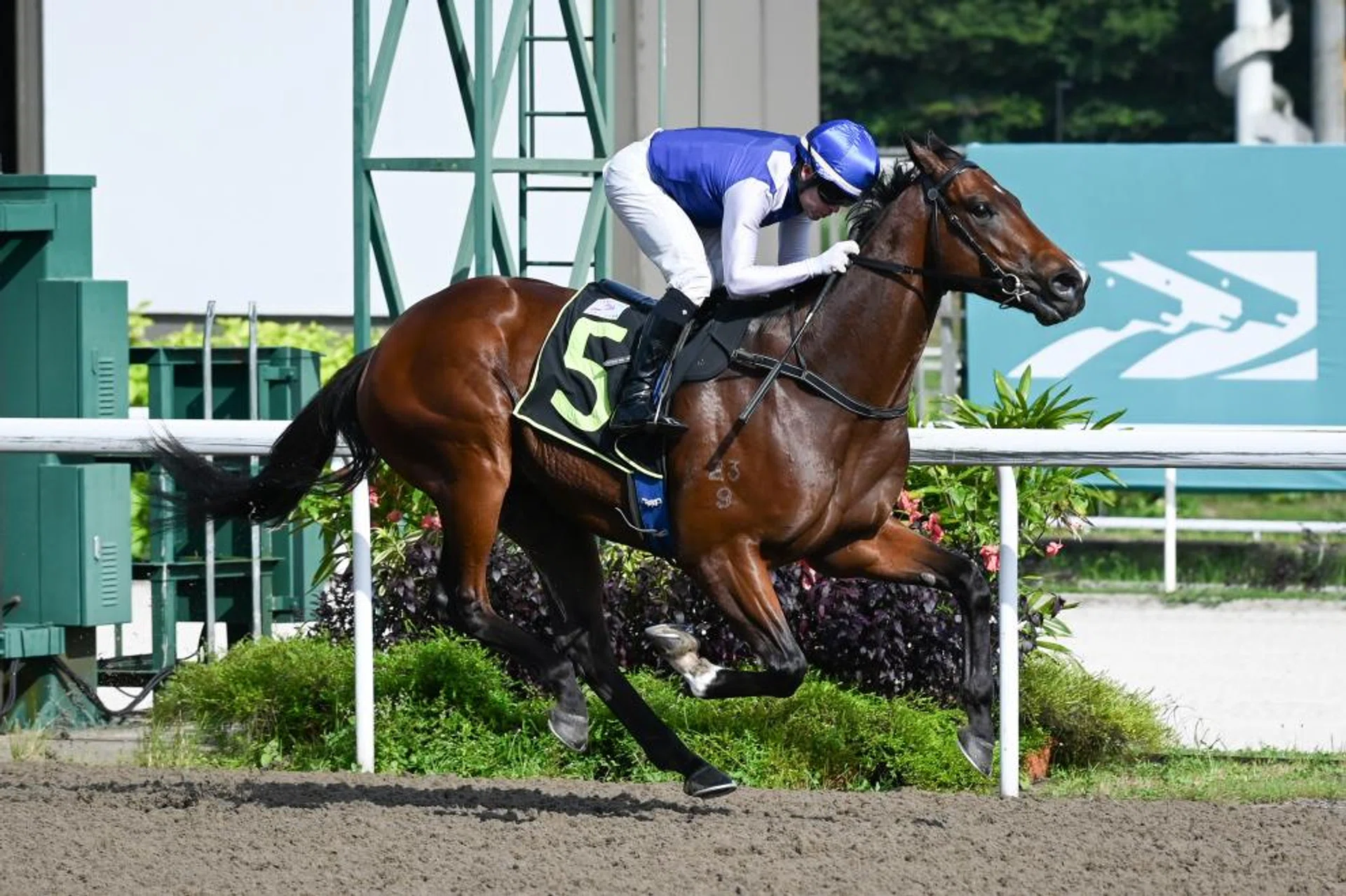 The Steven Burridge-trained Ghalib (Manoel Nunes) racing away to an easy win in the Class 3 race over 1,200m on the Polytrack on Jan 14.