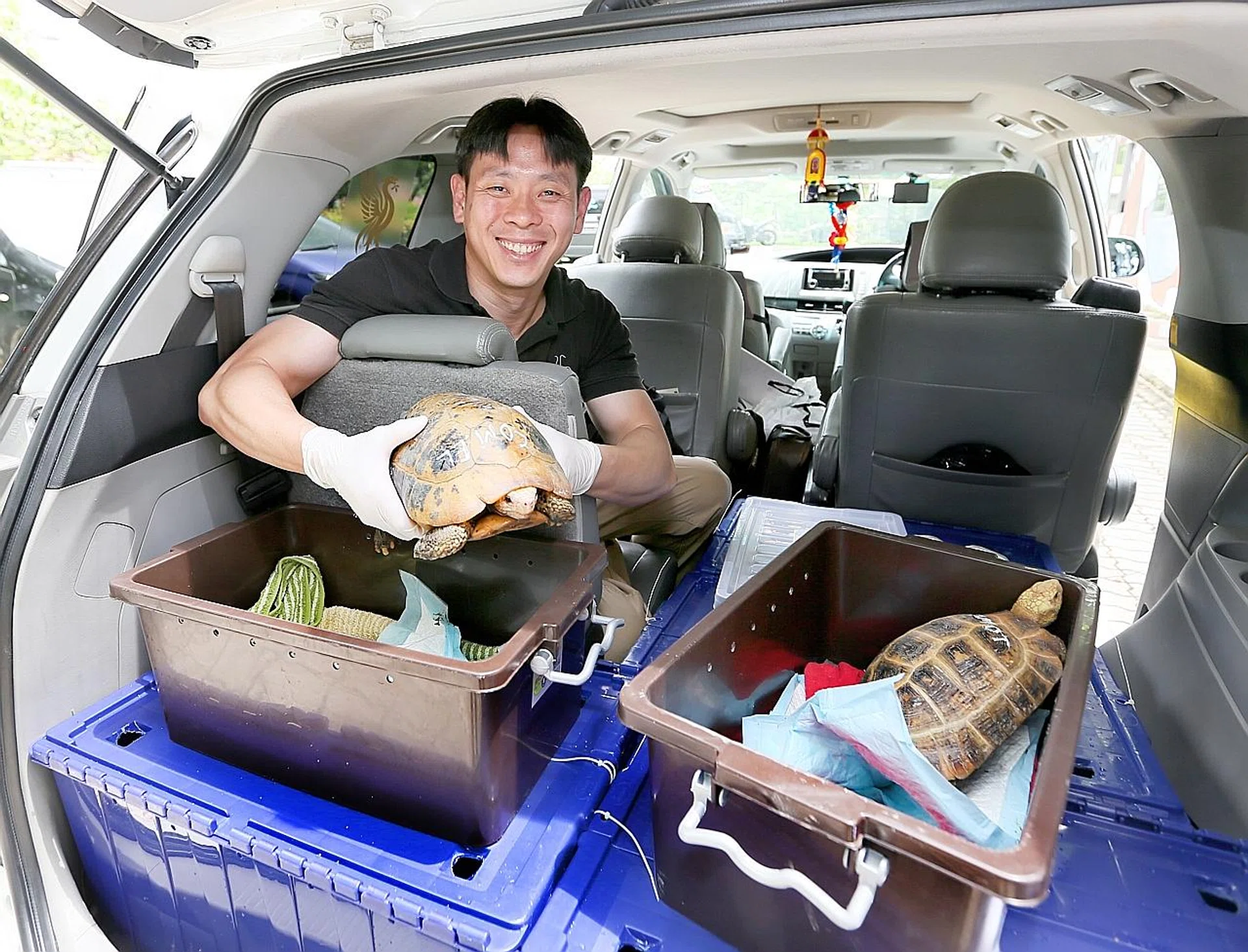 Chief executive of Acres, Mr Louis Ng, with the rescued tortoises. 