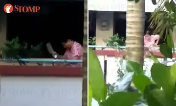 Woman hacks at plants with chopper, throws them down Bukit Panjang block
