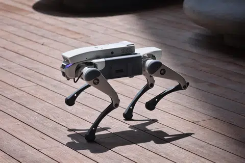 A quadrupedal 'dog' robot seen at RoboSG! 2025 at Punggol Digital District on March 14.