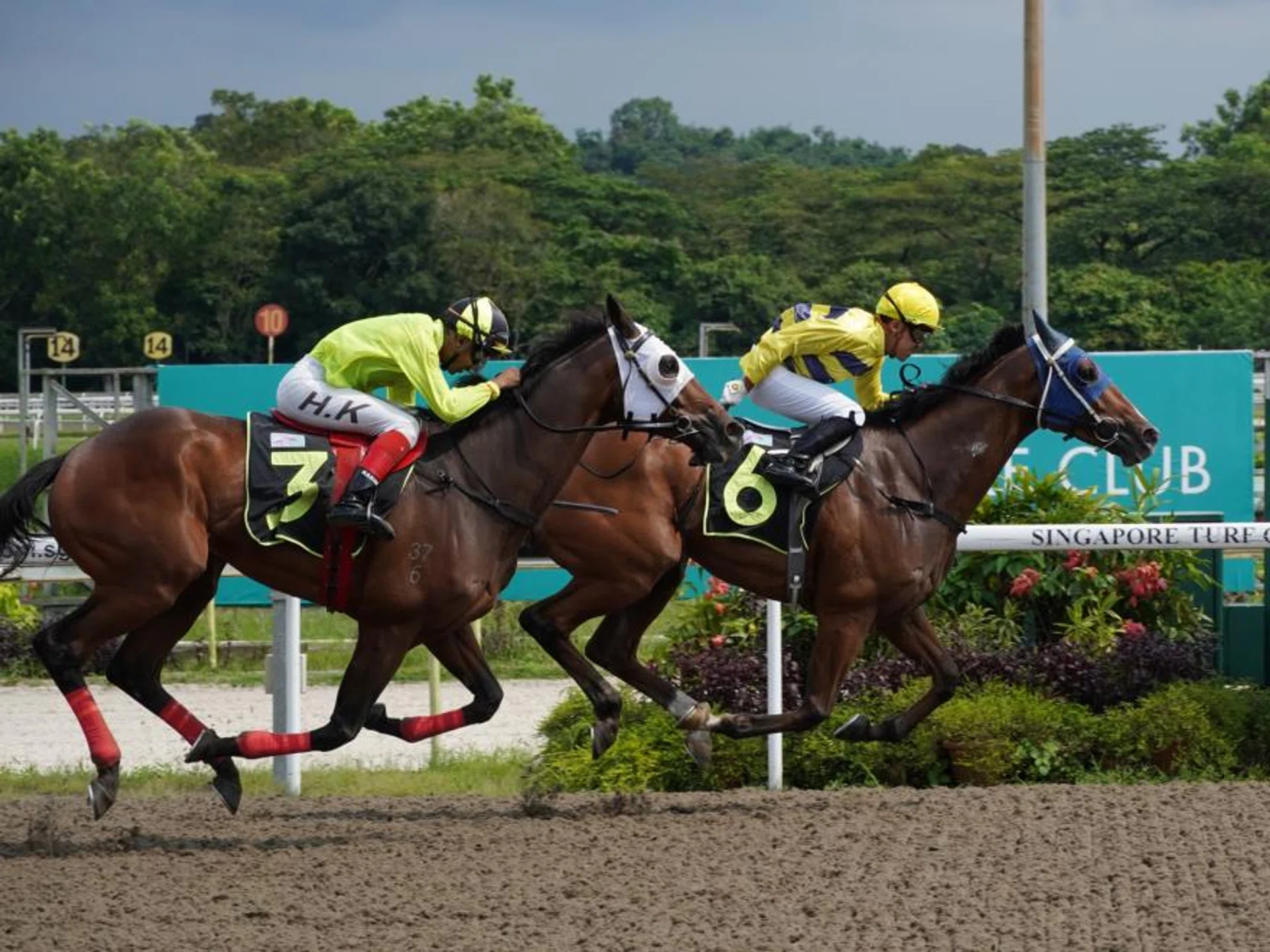 Smart Star (Amirul Ismadi) holding off Free Fallin' (A'Isisuhairi Kasim) in a Class 4 1,600m race on Dec 2, 2023. He caught the eye with a smart 42.1sec gallop over 600m on May 7 and looks ship-shape for his assignment on May 12.
