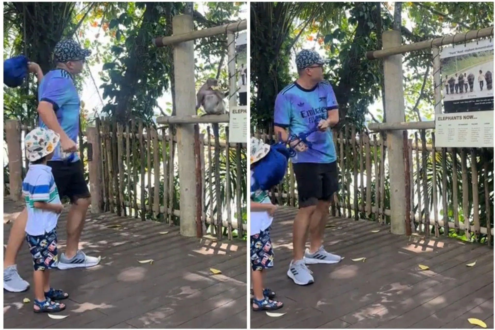 The video shows a man swinging a bag at a macaque at the Singapore Zoo. He misses the animal, and the bag hits his child in the face instead.