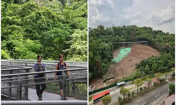Parts of trails at Telok Blangah Hill Park closed for repair