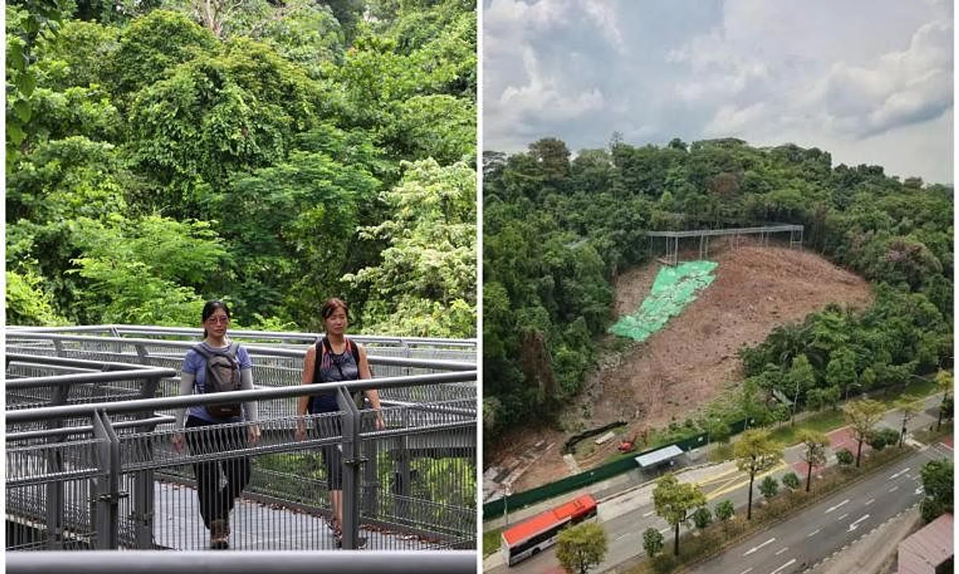 The affected parts of the trails closed for public safety and slope repairs include the eastern section of the Forest Walk and the Earth Trail.