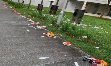 With return of Hungry Ghost Festival, Chinese groups to show the way on burning joss paper responsibly