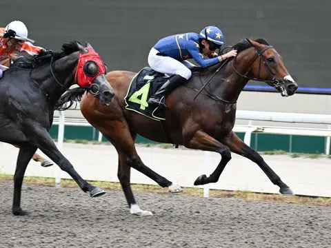 Lim's Saltoro can remain unbeaten