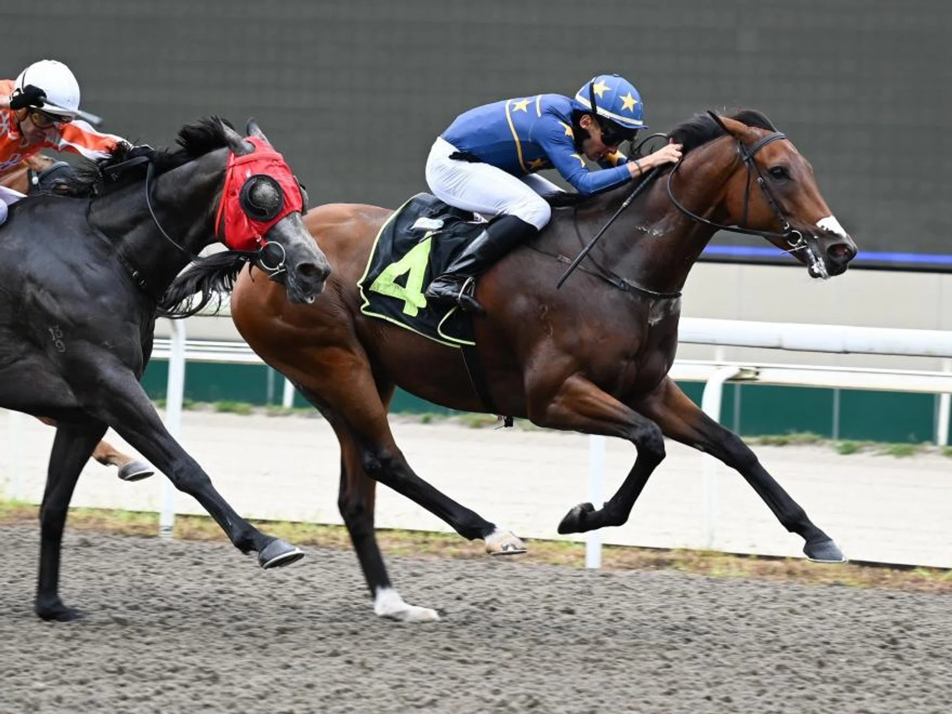 Lim's Saltoro (Marc Lerner) showing great fighting spirit when landing his fourth straight win, despite not being 100 per cent, on March 2. A lot fitter, he will take a lot of beating in Race 6 on March 30.
