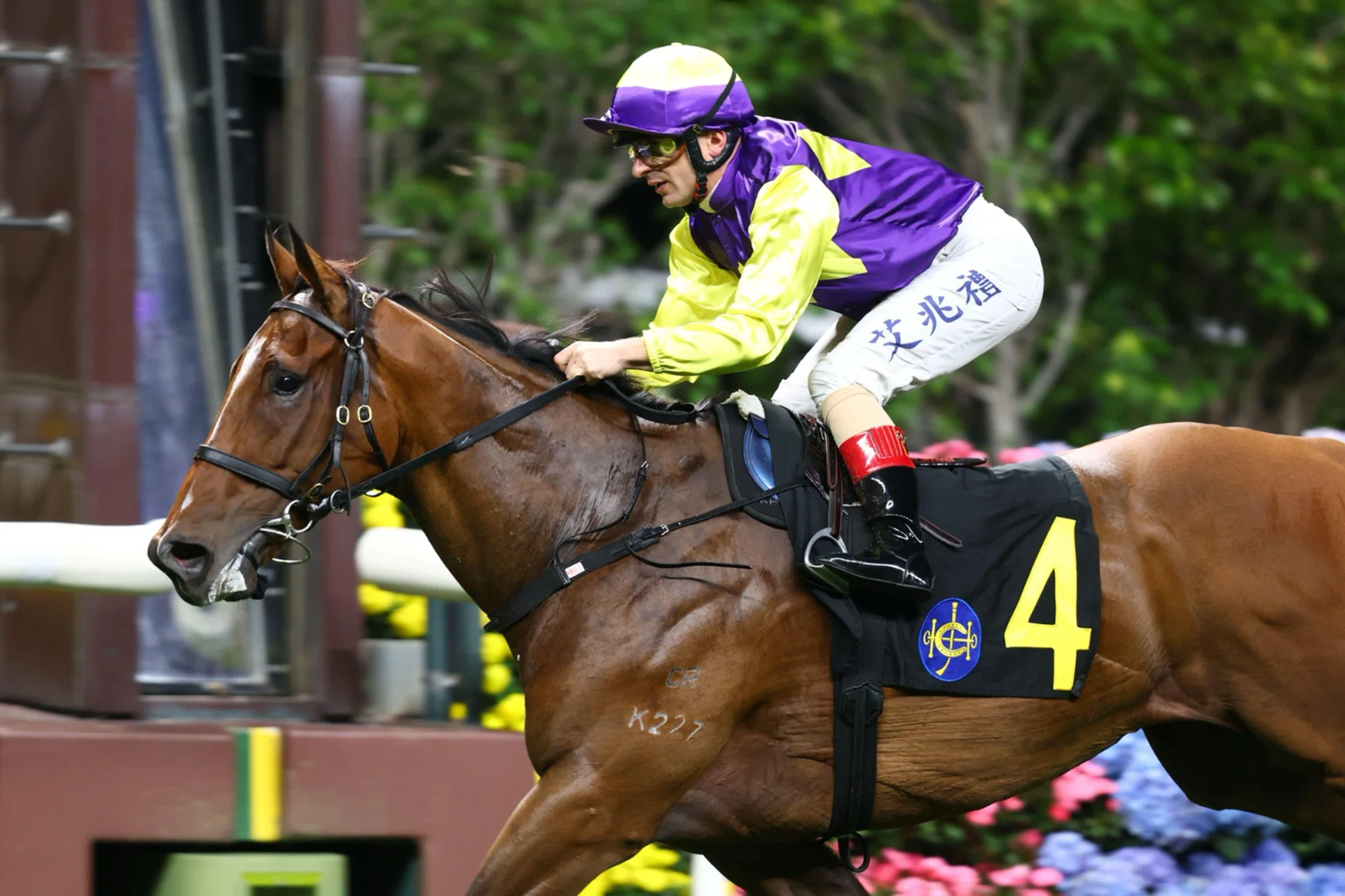 Colourful King (Andrea Atzeni) claiming the Class 3 Hong Kong China Rugby Cup (1,000m) at Happy Valley on April 9. He will be ridden by the Italian jockey again in the Class 3 Longines Cup (1,000m) at Happy Valley on Oct 22.
