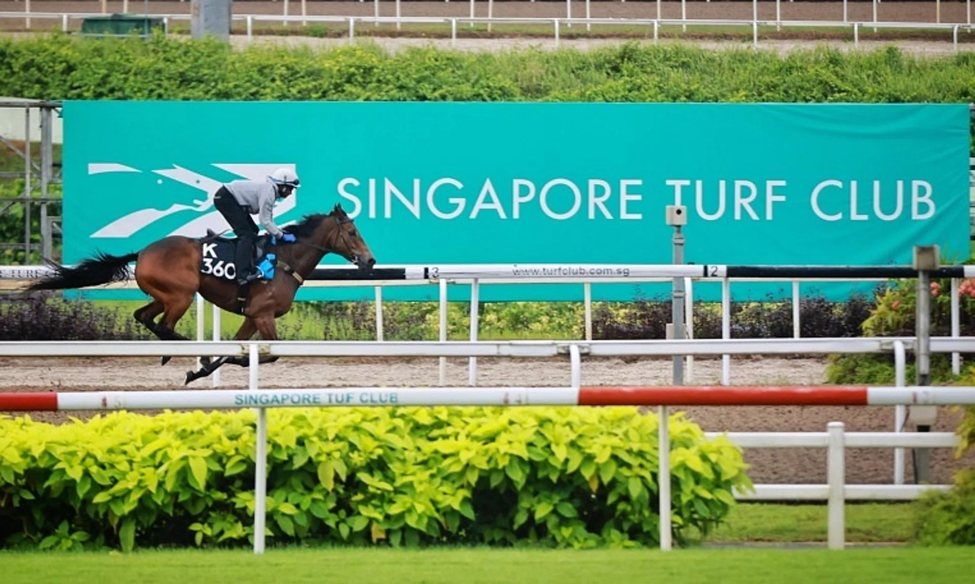 The Grand Singapore Gold Cup will be held on Oct 5 in the last race meeting before the club shuts its doors. 