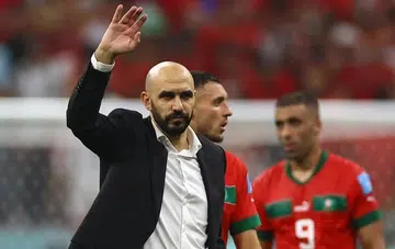 World Cup: Semi-final defeat doesn't wipe out success, says Morocco coach Regragui