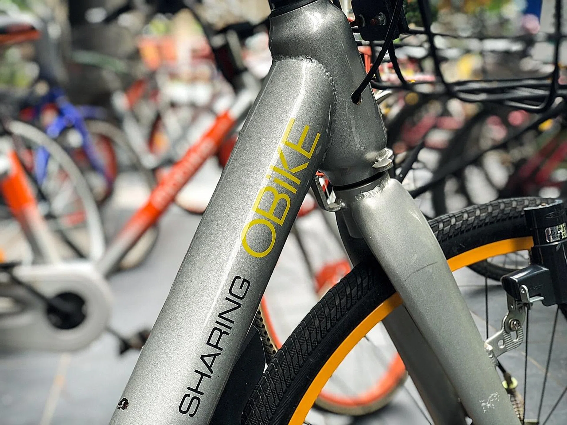 oBike was unable to find a white knight. 