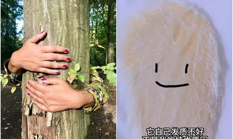 Tree hugging, bead play and mango seeds: Chinese youth seek novel ways to relieve stress