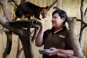 Come catch 'Pokemon' at the zoo with The New Paper Courts Big Walk