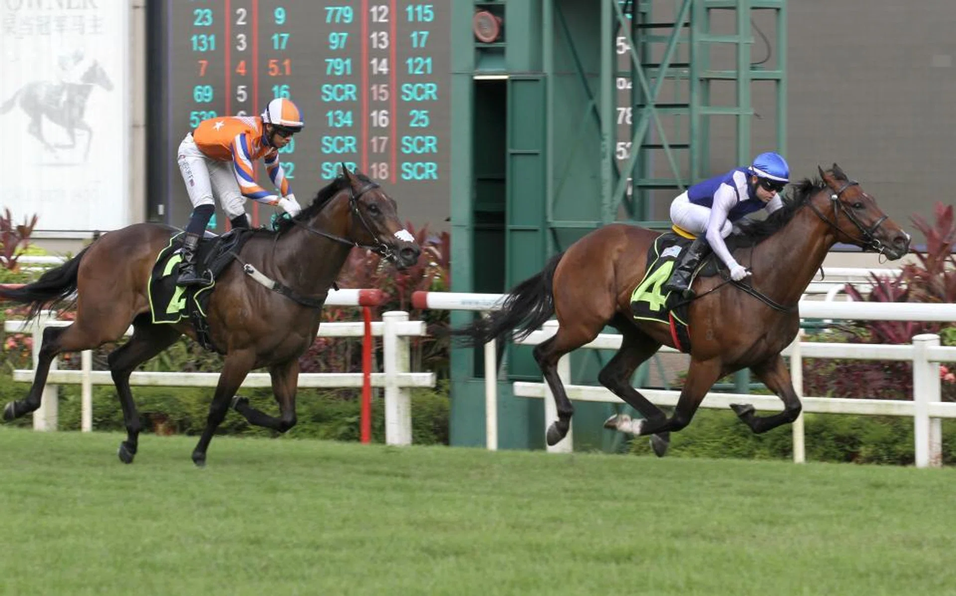 Ghalib (Manoel Nunes) beating Knippenberg in his second win on Sept 16. He has made further progress and a hat-trick is possible on Saturday, despite the extra 200m.