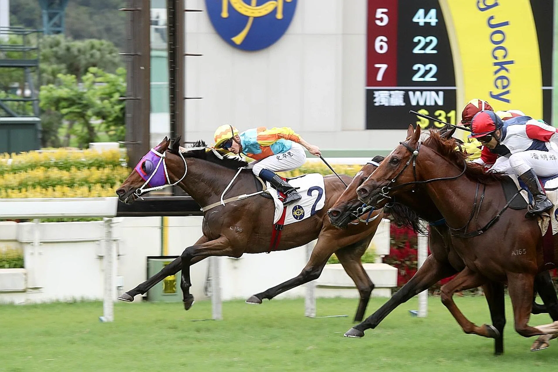 Front-runner Ka Ying Star (No. 2) fending off his rivals in yesterday's Group 3 Lion Rock Trophy over 1,600m at Sha Tin. 