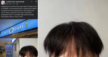 Man laments 'pineapple head' haircut; shop owner invites him for a redo