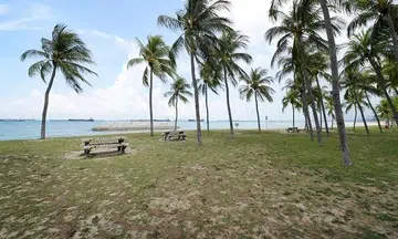 Woman found dead in sea off East Coast Park likely drowned