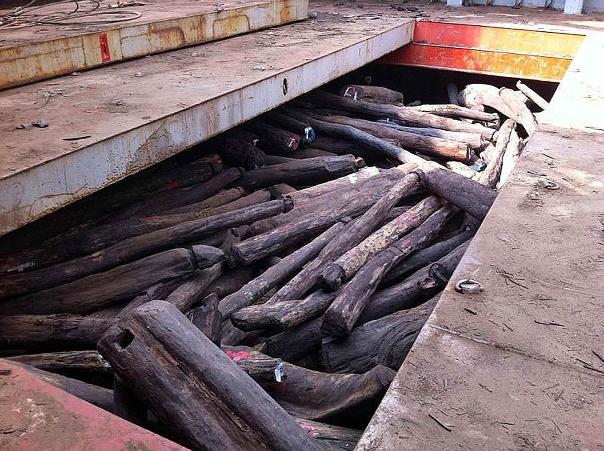 The Madagascan rosewood logs are worth US$50 million. PHOTO: AVA