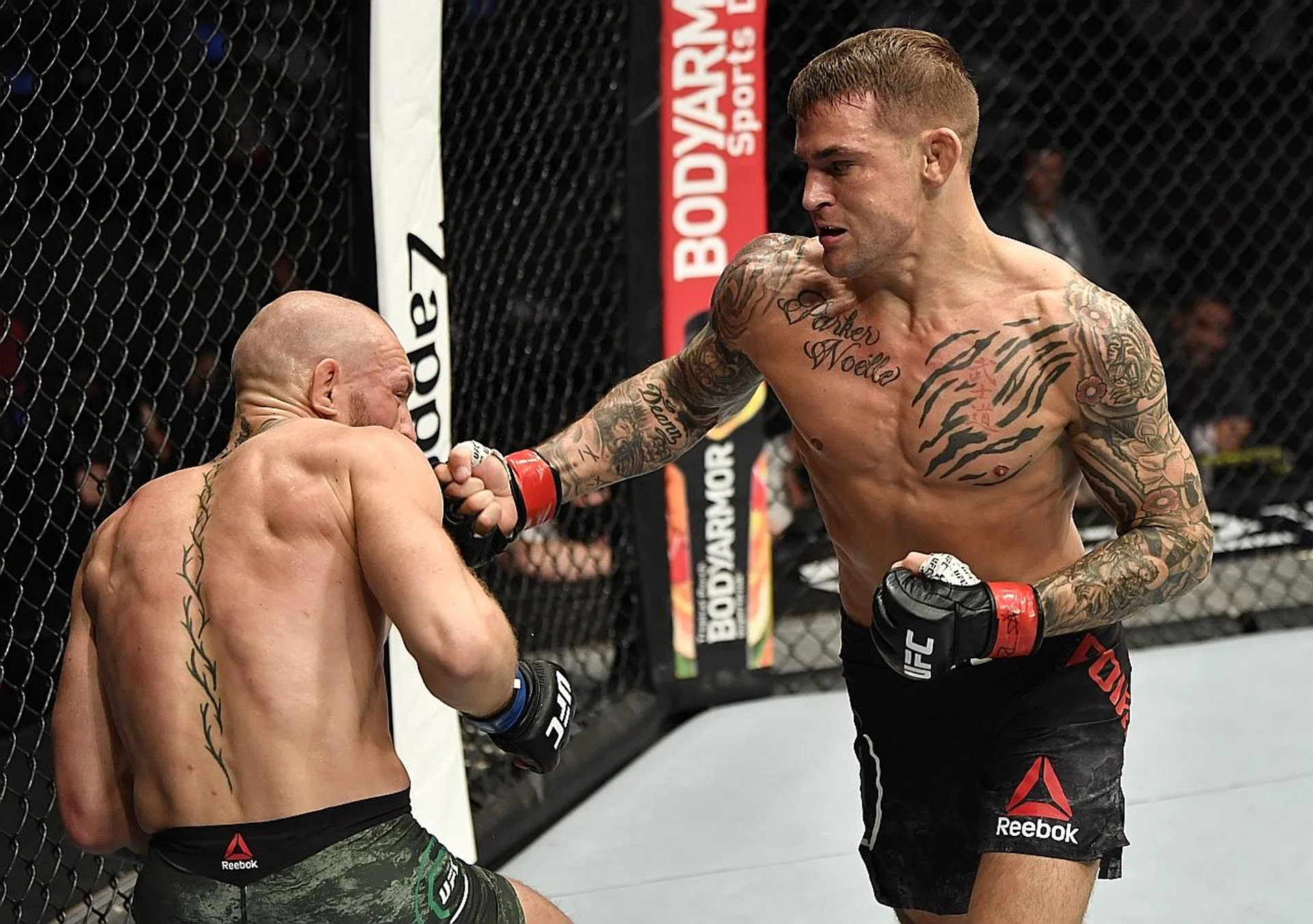 Dustin Poirier (right) is now in prime position to inherit or fight for the UFC's lightweight belt, after beating Conor McGregor.  