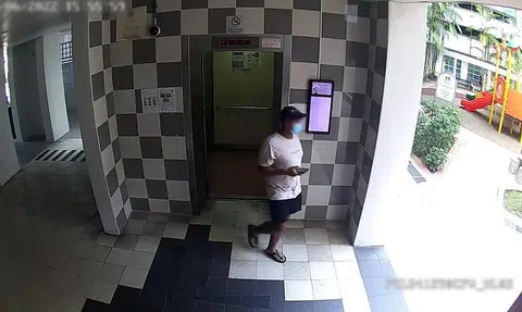 Plan to install over 200,000 CCTV cameras around S'pore delayed to mid-2030s: Police