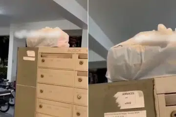 Man waits 3 hours for pizza delivery; neighbour finds order atop letterboxes at void deck