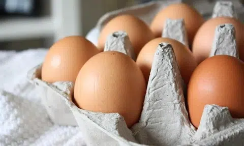 Egg importer fined for failing to obtain SFA certification