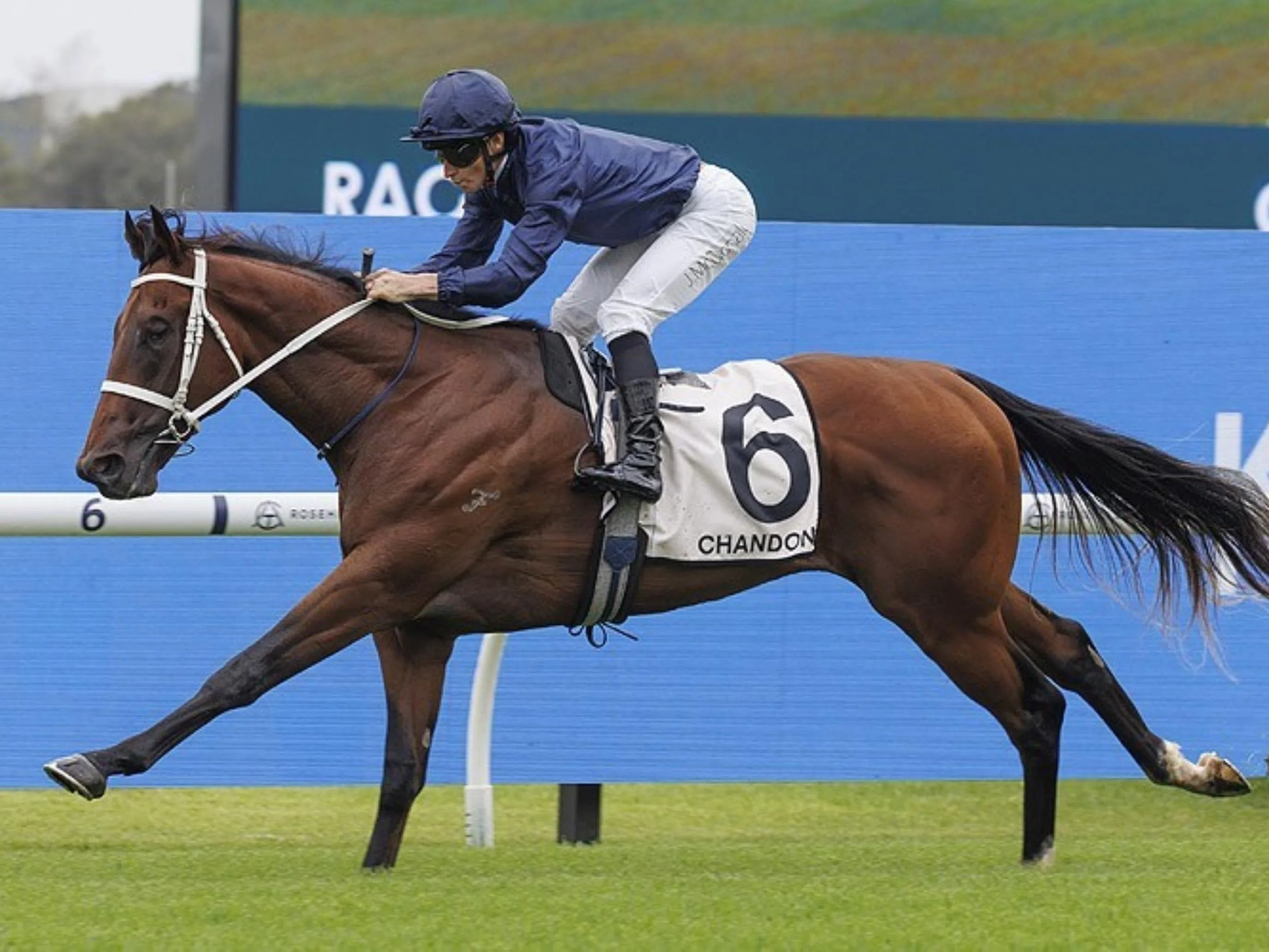 Wodeton has edge in Golden Slipper