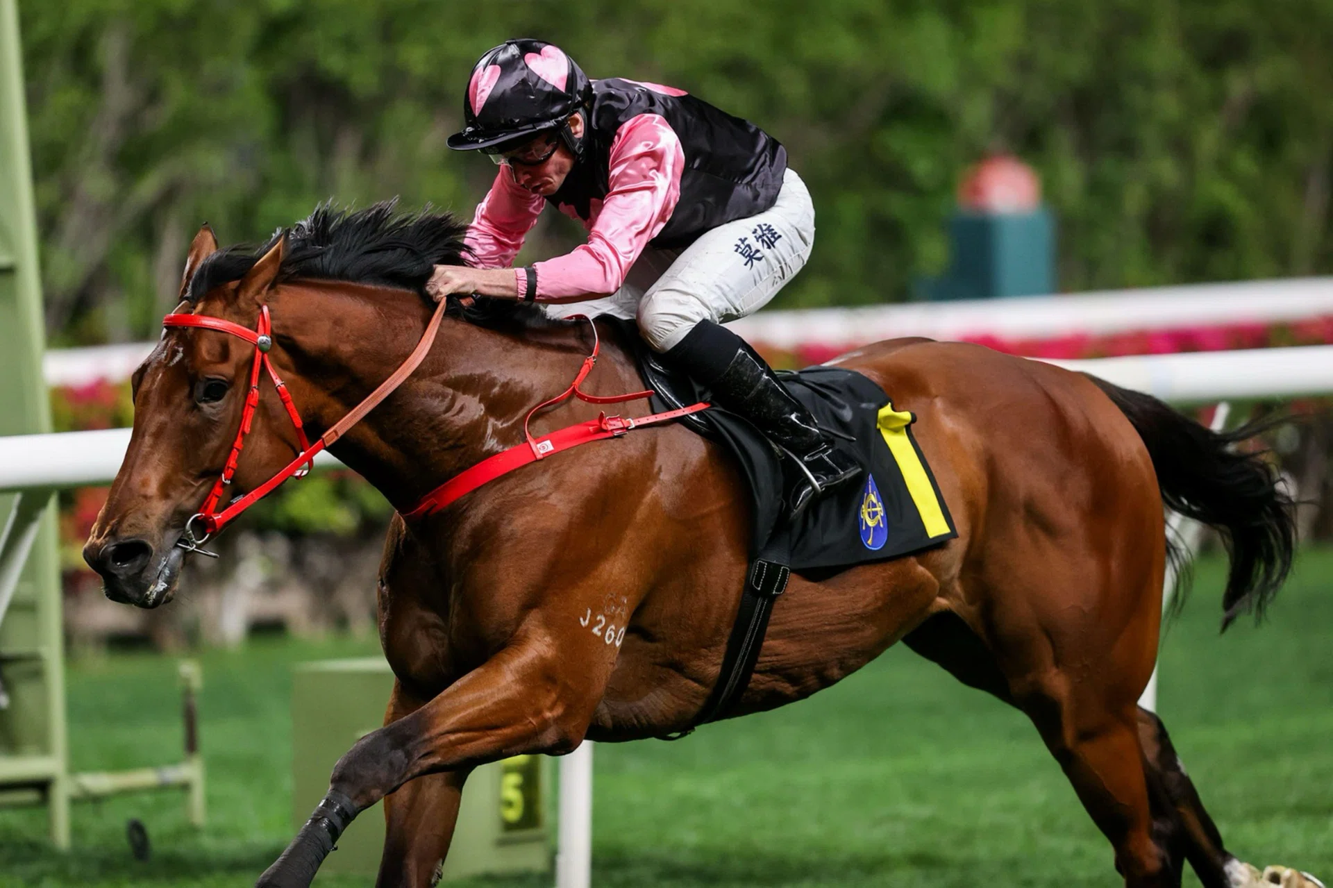 Beauty Alliance (Ryan Moore) storming home in the Class 4 race (1,800m) on March 5. He will run in the Class 3 race (1,800m) at Happy Valley on April 23.