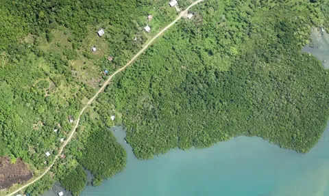 New study links bird flu spread to habitat loss