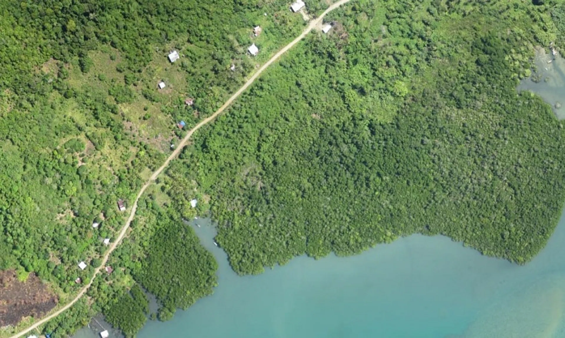 Habitat destruction in Malaysian Borneo may be bringing migratory birds in closer proximity to communities, a new study found.