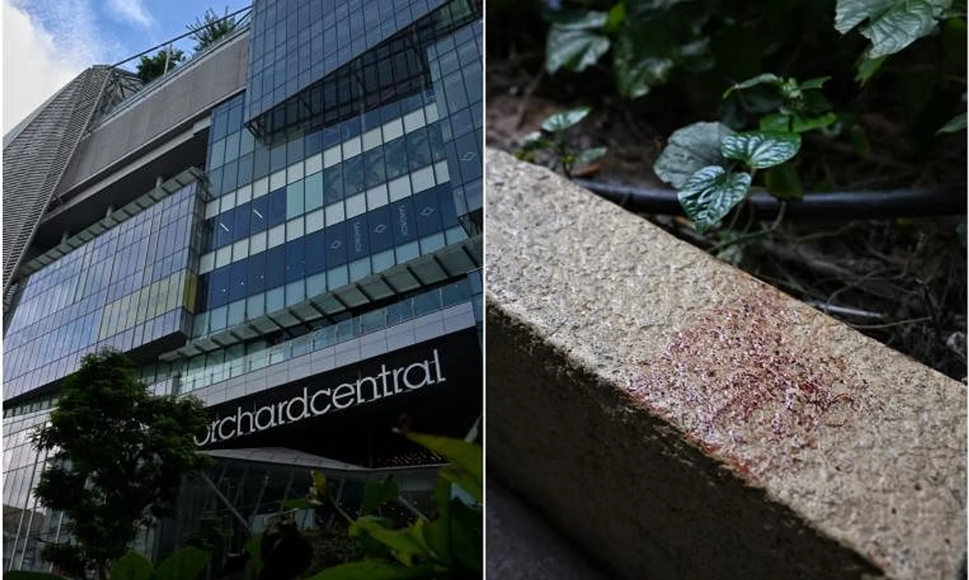 According to court documents, the man had allegedly used an unknown instrument for stabbing or cutting which is likely to cause death.