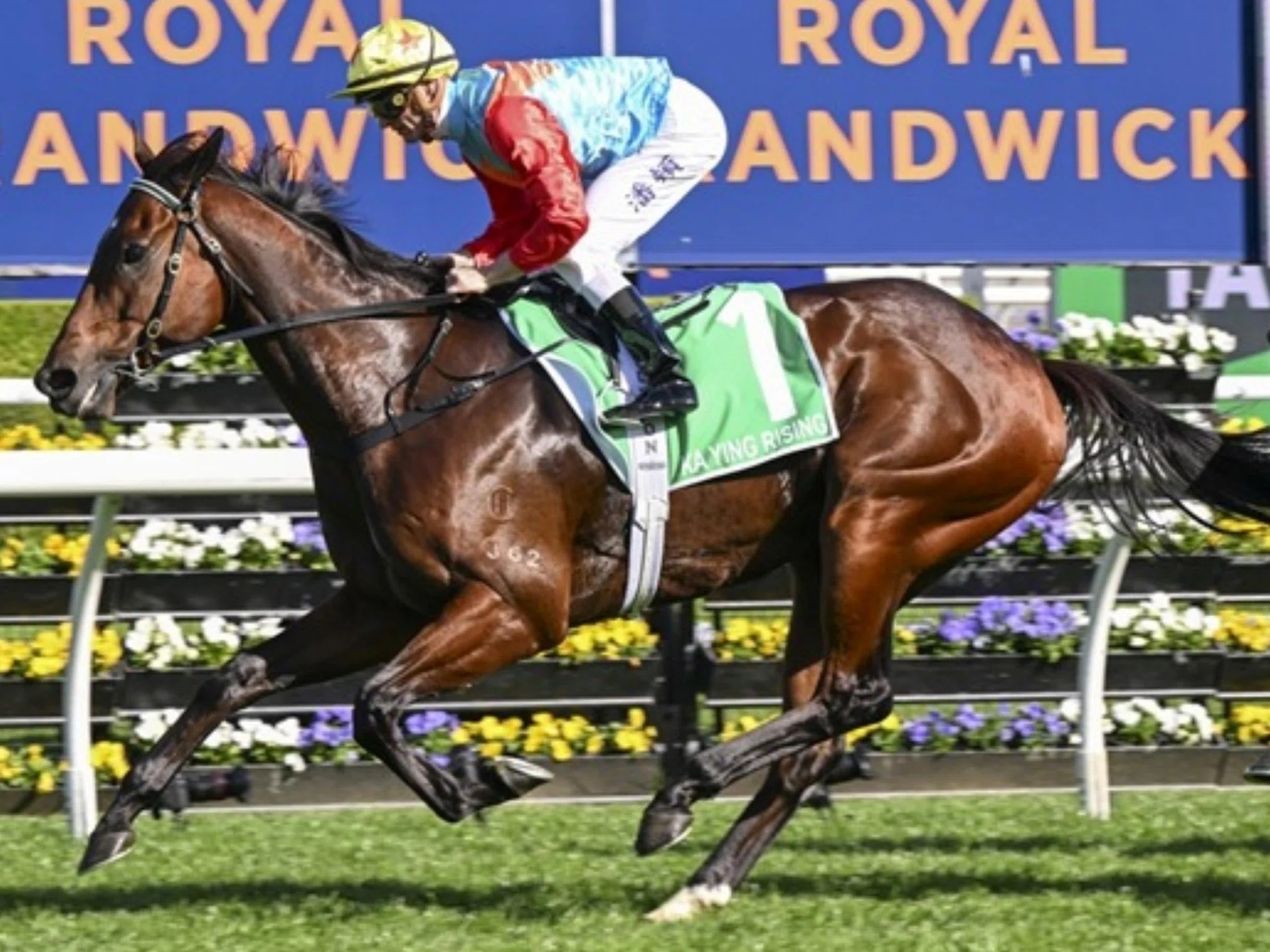 Ka Ying Rising (Zac Purton) making short work of his rivals in the Group 1 The Everest (1,200m) at Royal Randwick on Oct 18.