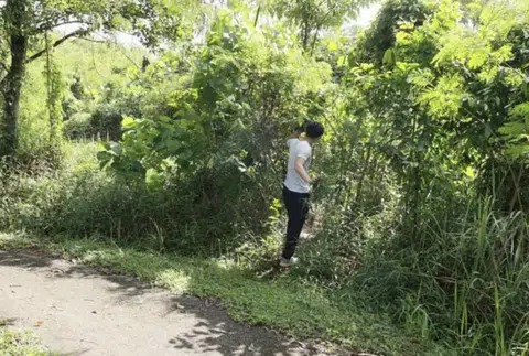 Women allegedly offer sexual services in Kranji wooded area