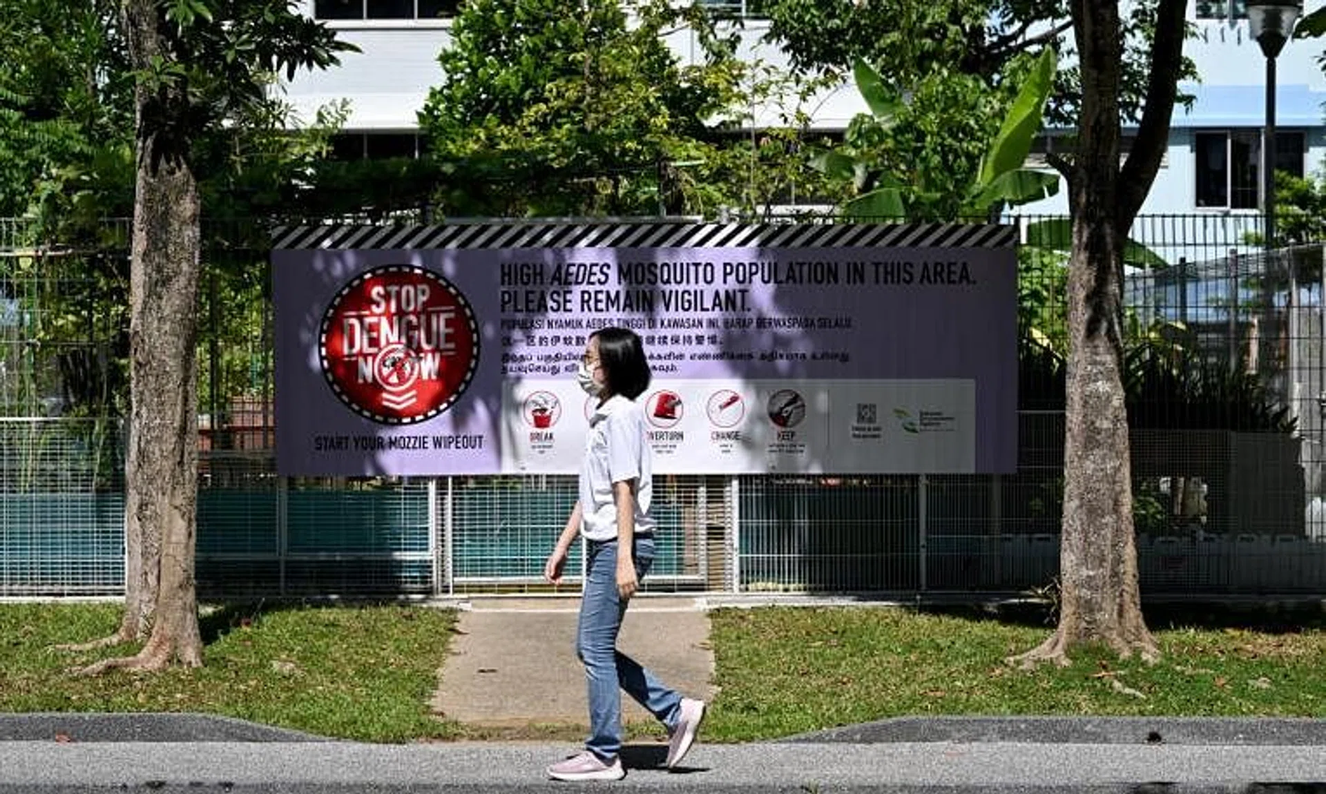 The Zika case comes amid a surge in dengue infections this year.