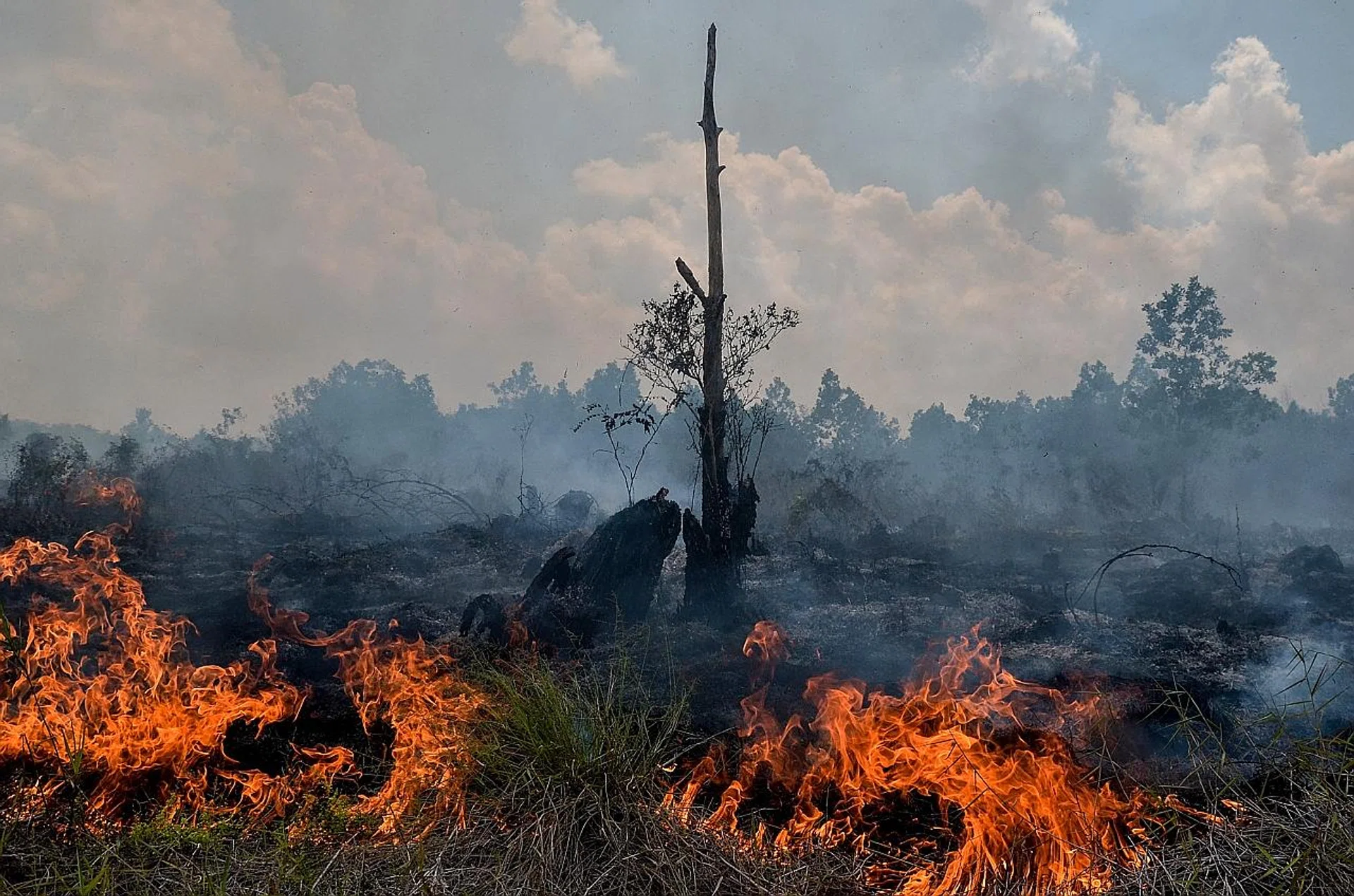 The recent Asean Summit noted steps more specific to the agri-resources sector, specifically the palm oil sector in Indonesia (above) and Malaysia, which has been associated with haze and fires. 