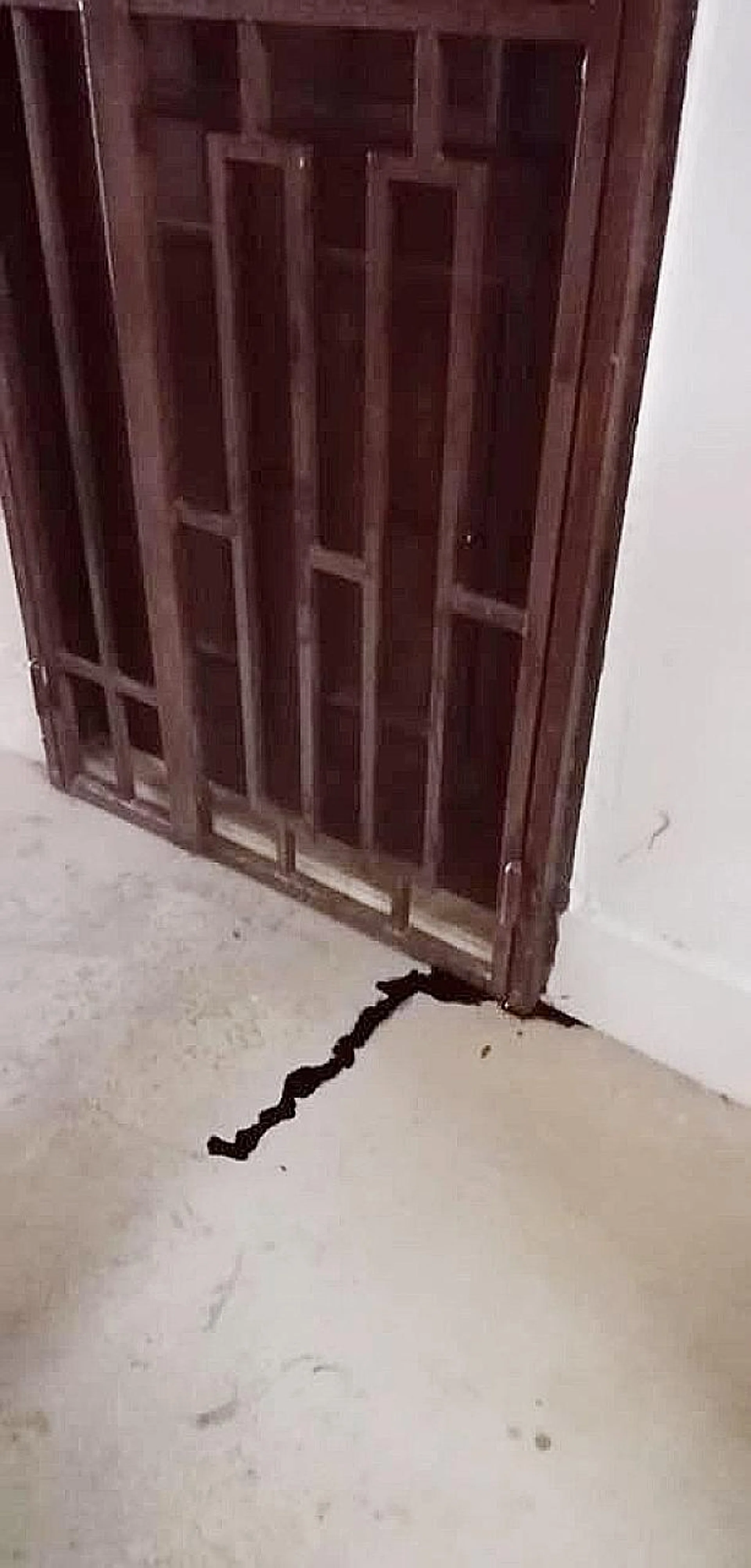 A neighbour sought help from a private volunteer group after seeing the dark liquid. 