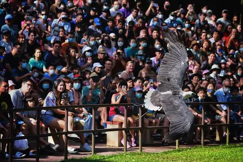 Crowds flock to Jurong Bird Park ahead of last day of operations on Jan 3