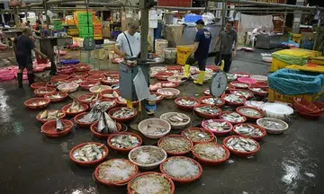Senoko Fishery Port to close by end-March 2024