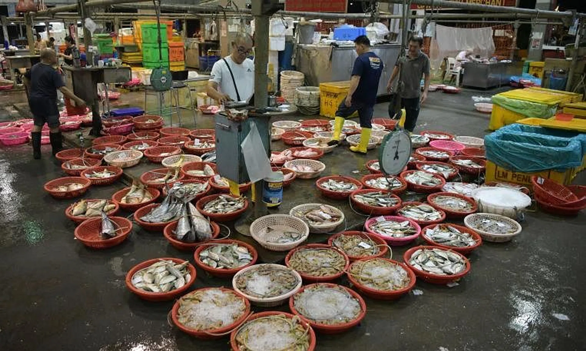 Mr Davidson Goh (centre), director of Lian Yak Fish Merchant, standing amid baskets of seafood at his market lot in Senoko Fishery Port.