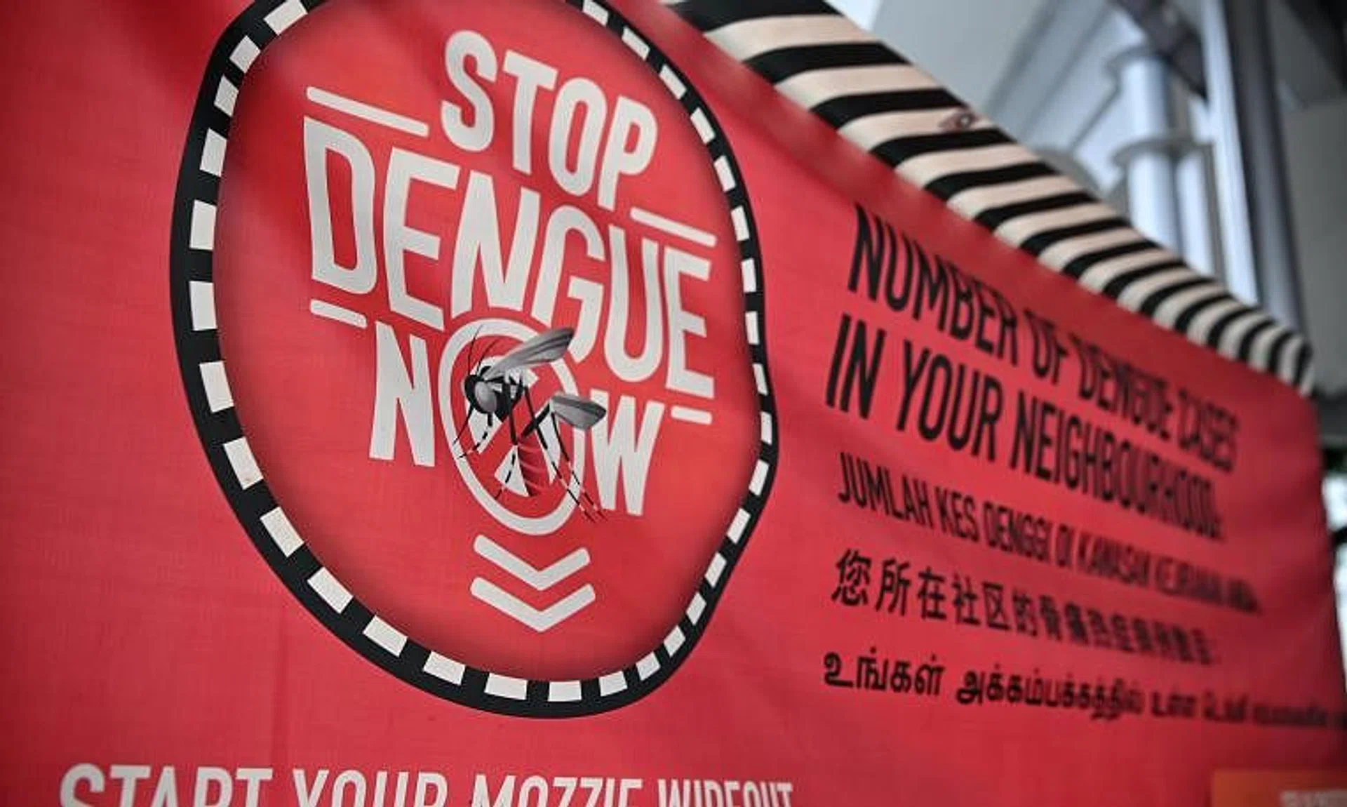 Dengue typically peaks between June and October because of warmer weather.